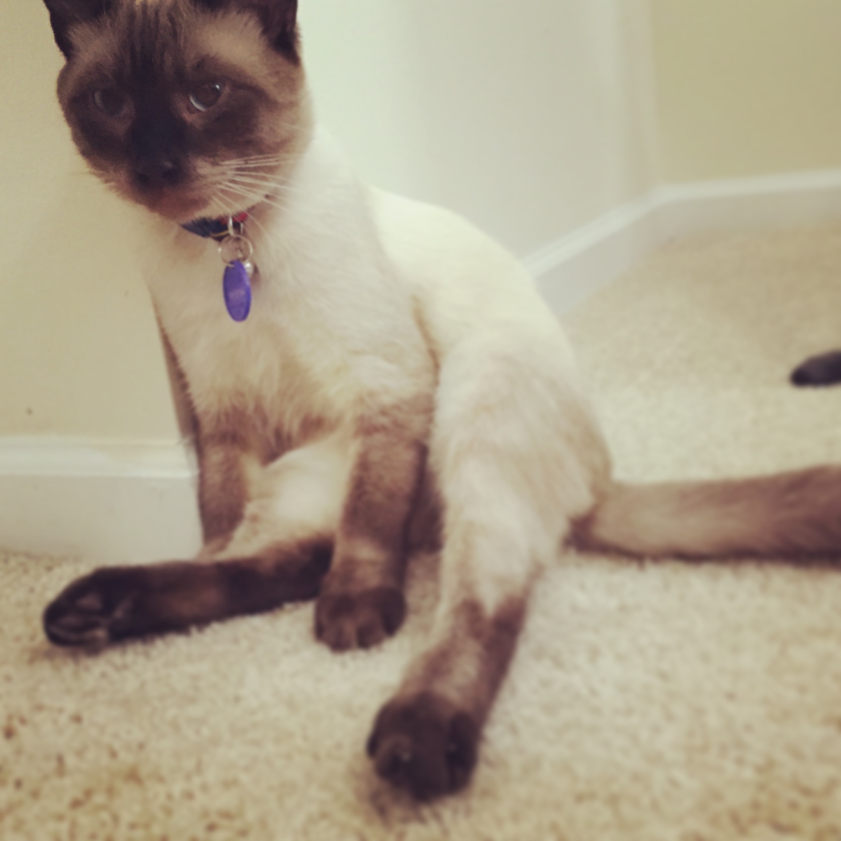 insta of me sitting and pondering life